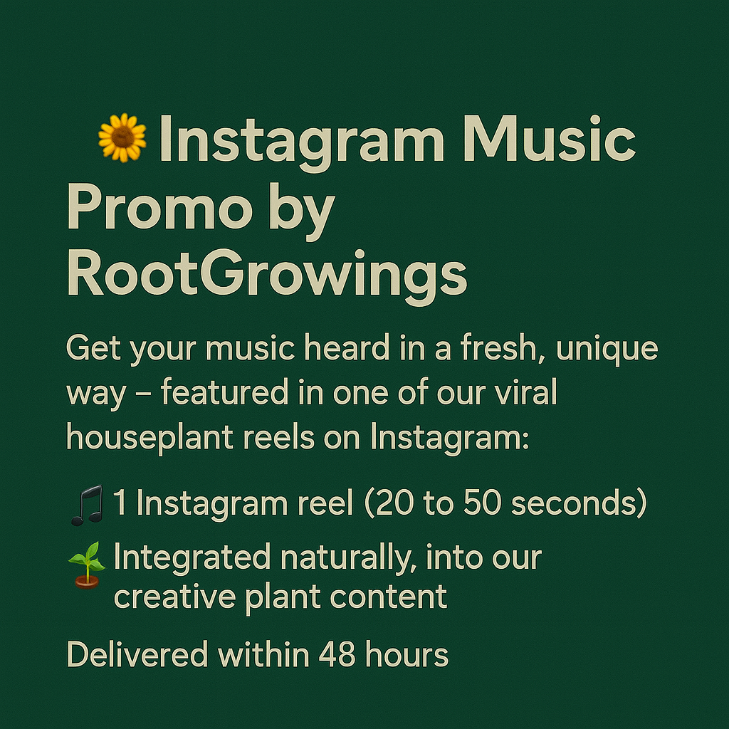 Instagram Music Promo