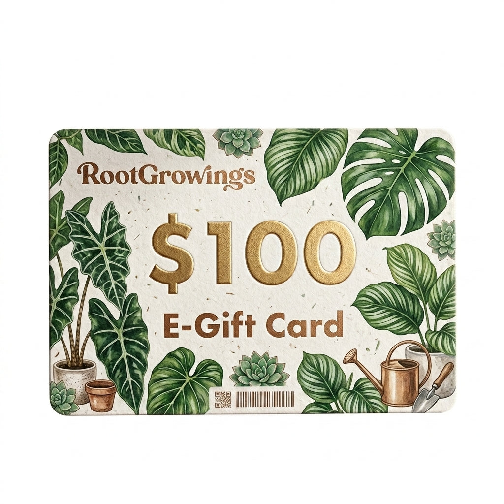 RootGrowings $100 E-Gift Card