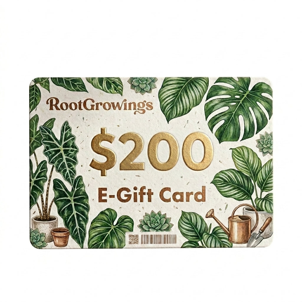 RootGrowings $200 E-Gift Card