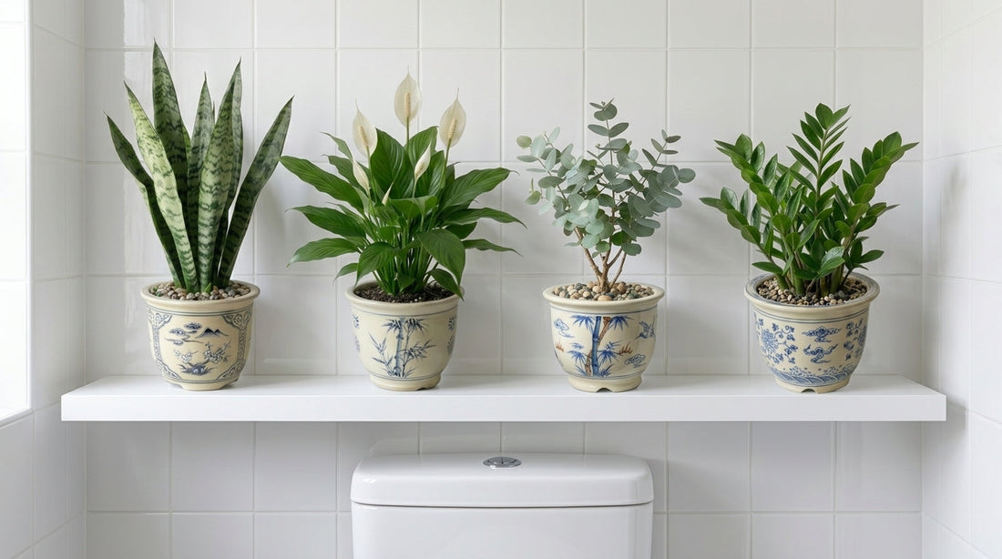 Bathroom.. <br> what to choose and why…
