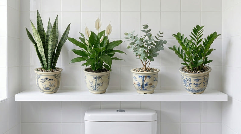 Bathroom.. <br> what to choose and why…
