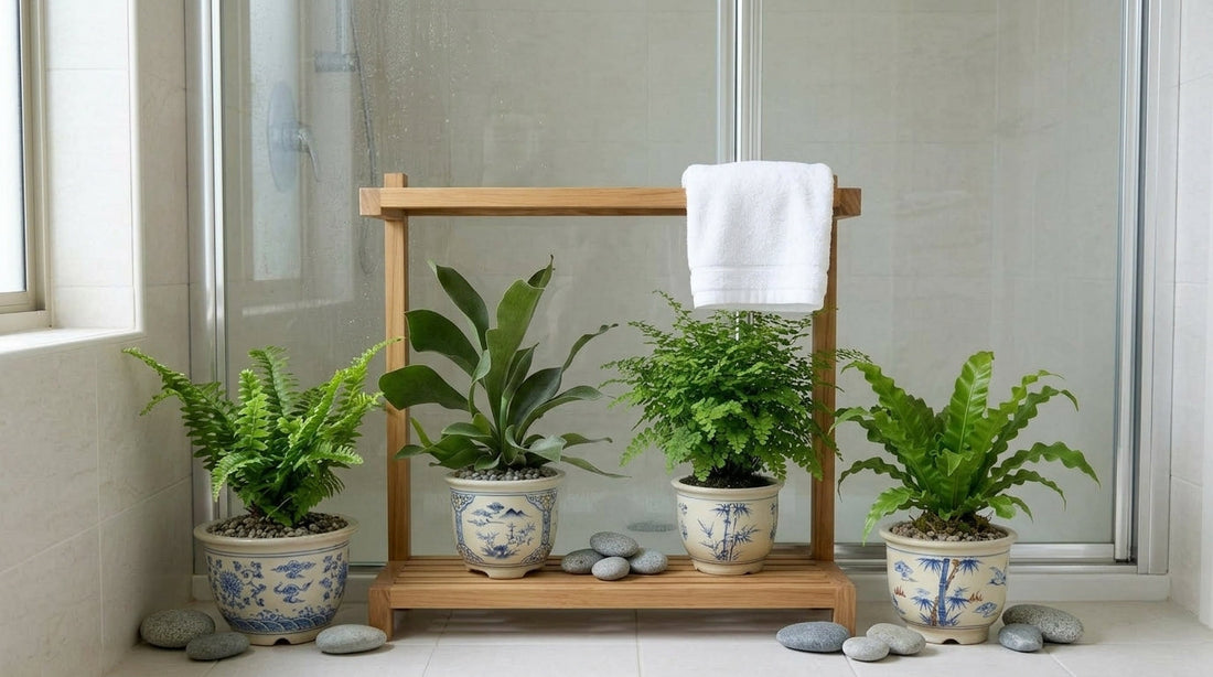 Shower cabinet Ferns?