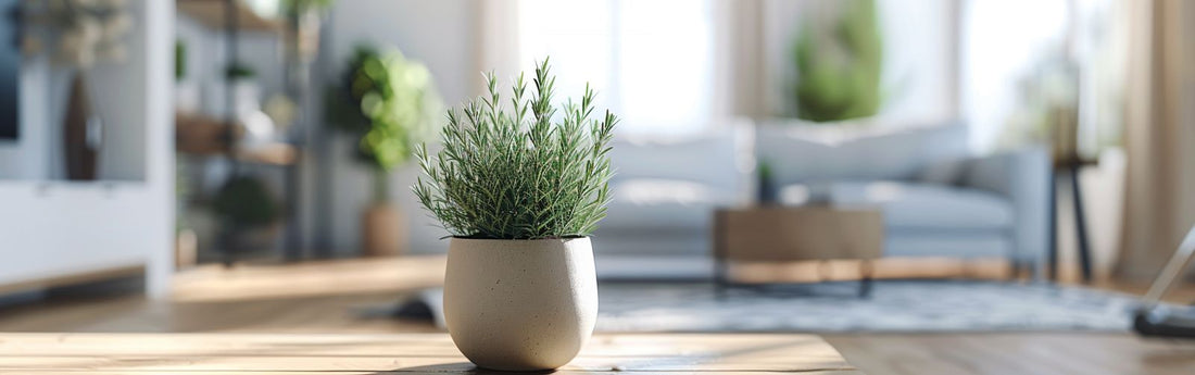 3 Houseplants to Repel Ants