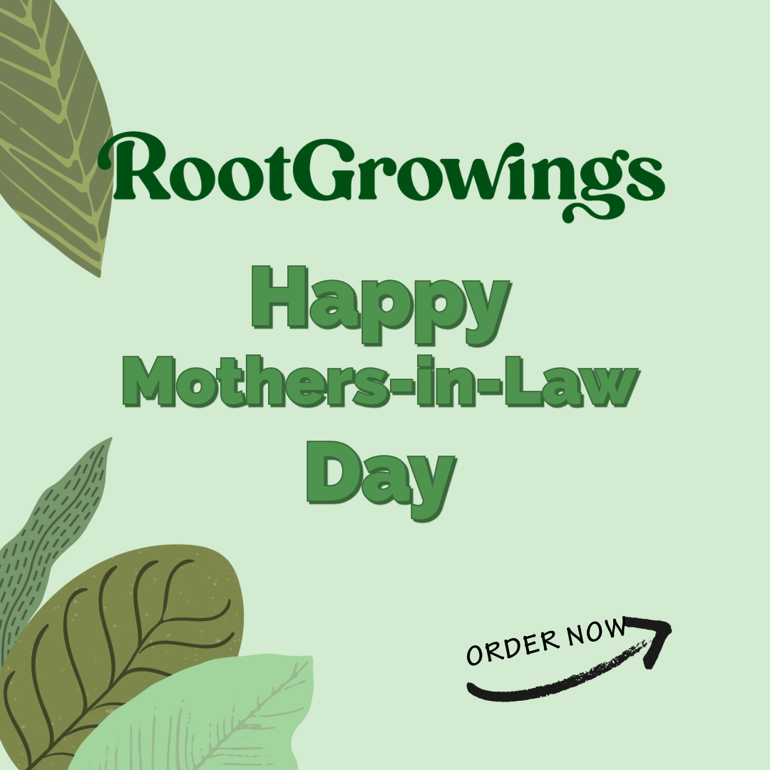 For the Mother-in-Law in your life