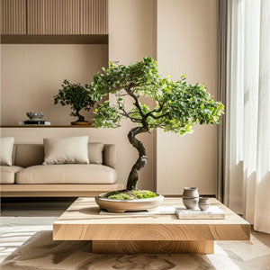Bonsai