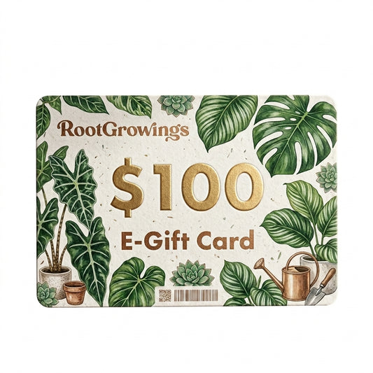 RootGrowings $100 E-Gift Card